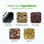 Pure Shilajit Gummies - Image 4