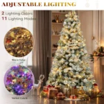 Celebrating Five Years - Special Edition Gift